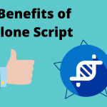 How clone business scripts are built?